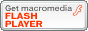 ��ǹ���Ŵ Flash Player - Download 