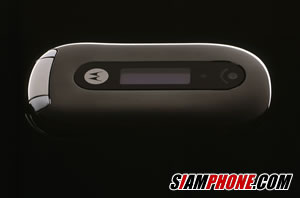 motorola pebl u6