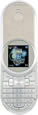 Scool TZ-479 - ʤ�� TZ-479
