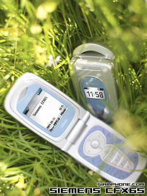 Siemens CFX65 - �������
