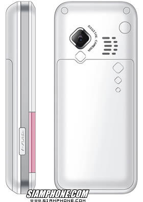 TWZ D3 - �մѺ����᫴ D3 