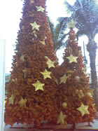 Dopod P800w - ดูพอด