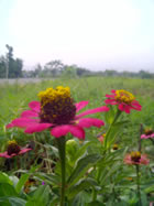 Gigabyte G-smart i120 - กิ๊กกะไบท์