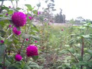 Gigabyte G-smart i120 - กิ๊กกะไบท์