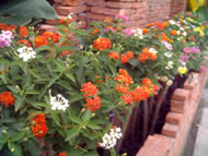 Gigabyte G-smart i120 - กิ๊กกะไบท์