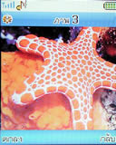 Lenovo V800 - เลอโนโว