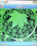 Lenovo V800 - เลอโนโว