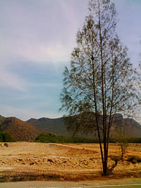 GNET G6637 - จีเน็ต