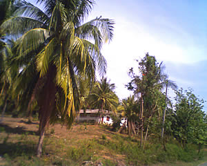 GNET G708 - จีเน็ต