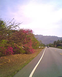 GNET G708 - จีเน็ต