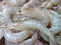 i-mobile 611 - ไอโมบาย