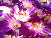 i-mobile 611 - ไอโมบาย