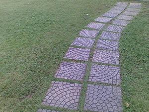 Nokia N81 8GB - โนเกีย