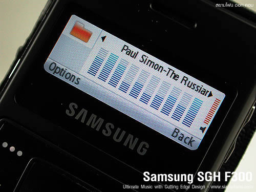 Samsung SGH F300 - ซัมซุง