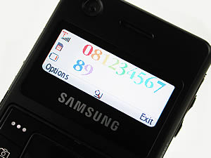 Samsung SGH F300 - ซัมซุง