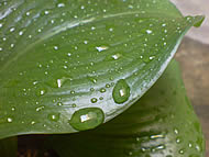 Sony Ericsson K810i - โซนี่ อิริคสัน