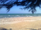 wins B8 - วินส์