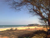 wins B8 - วินส์