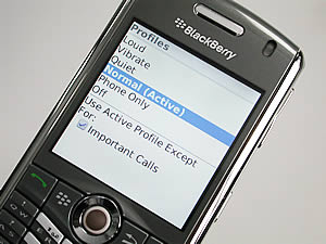 BlackBerry Pearl 8120 - แบล็คเบอร์รี่