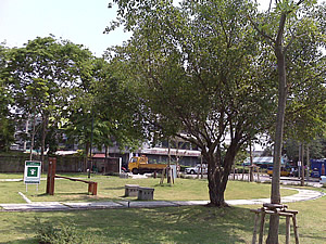 BlackBerry Pearl 8120 - แบล็คเบอร์รี่