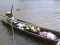 MWg Zinc II - โมบาย แอนด์ ไวเลส กรุ๊ป 