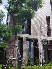 Nokia N78 - โนเกีย