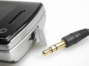 Samsung F400 - ซัมซุง