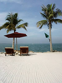 Samsung F500 - ซัมซุง