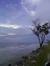 Samsung M3510 Beat - ซัมซุง