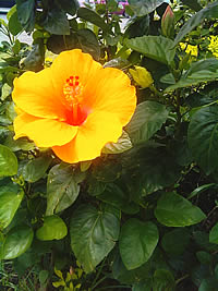 SENSE 80 - เซ็นส์