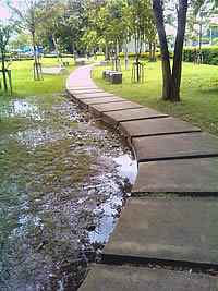 SENSE 80 - เซ็นส์