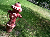 BlackBerry Curve 8520 - แบล็คเบอร์รี่ Curve 8520