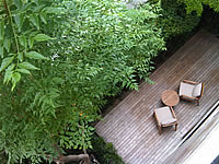 BlackBerry Curve 8900 - แบล็คเบอร์รี่ 