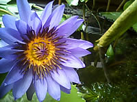  Cube C600 - คิวบ์ C600