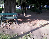 GNET G4 - จีเนท G4