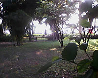 GNET G4 - จีเนท G4