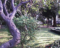 GNET G4 - จีเนท G4