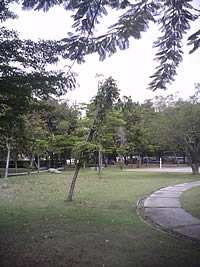 GNET G5 - จีเนท G5