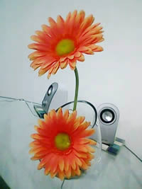 i-mobile TV550 - ไอโมบาย