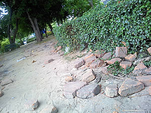 I- mobile TV638CG - ไอโมบาย TV638CG