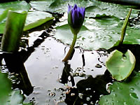 Infinity DOOFEE3 - อินฟินิตี้ Doofee3