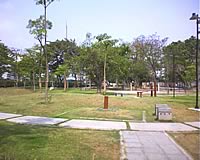 phoneOne M306 - โฟนวัน