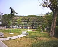 phoneOne M306 - โฟนวัน