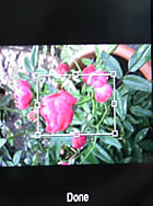 Samsung D980 Dual SIM