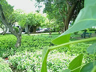  Sony Ericsson Naite - โซนี่ อีริคสัน