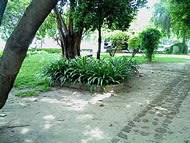  Sony Ericsson Naite - โซนี่ อีริคสัน