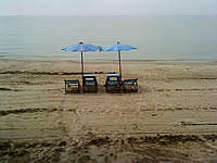  Sony Ericsson T715 - โซนี่ อีริคสัน