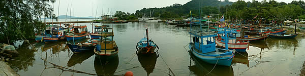  Sony Ericsson T715 - โซนี่ อีริคสัน