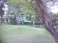 Wellcom W929 - เวลคอม W929