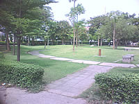 Wellcom W929 - เวลคอม W929